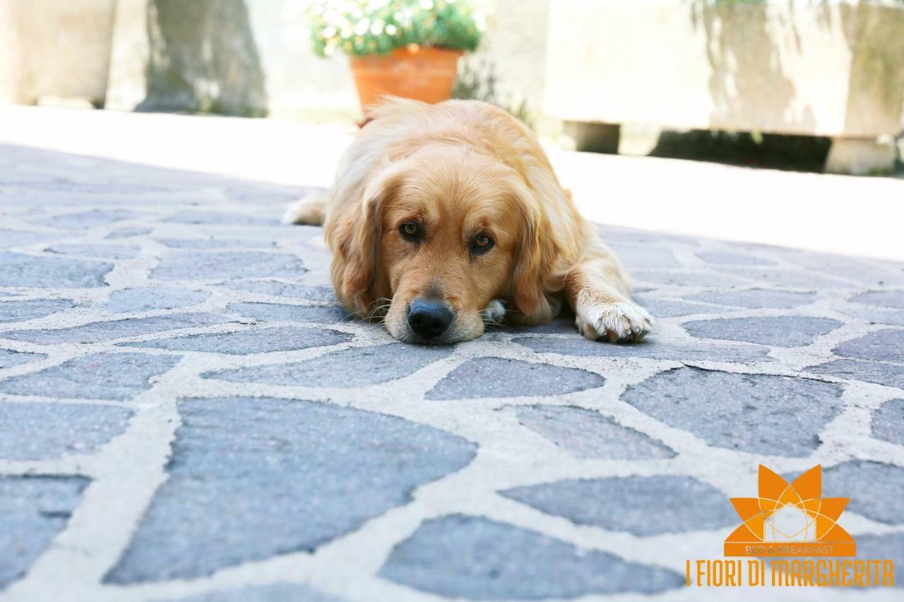 Bed & Breakfast I Fiori Di Margherita Luxury